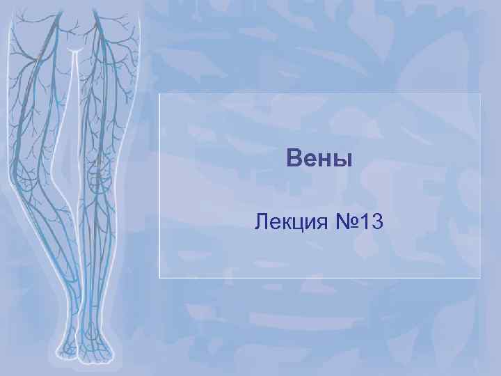 Вены Лекция № 13 