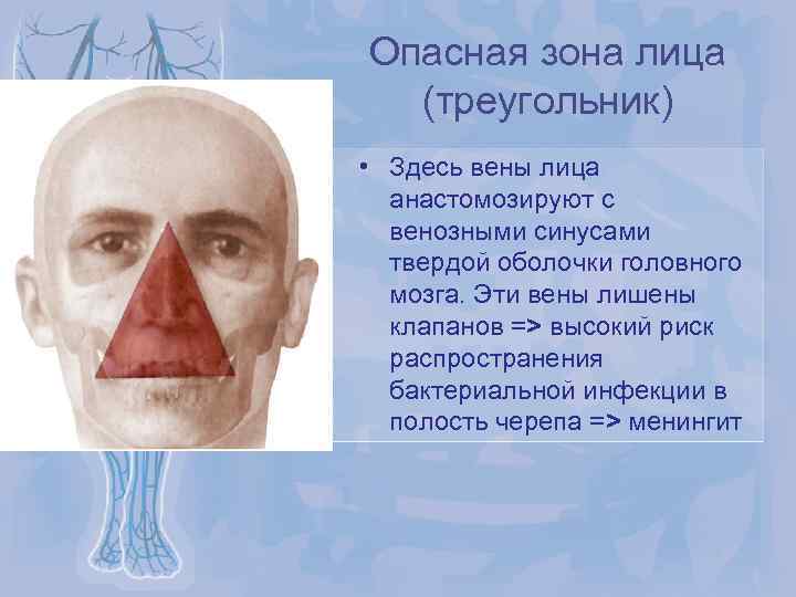 Опасная зона лица (треугольник) • Здесь вены лица анастомозируют с венозными синусами твердой оболочки