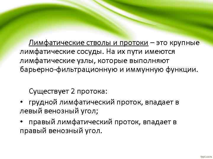Лимфатические стволы и протоки – это крупные лимфатические сосуды. На их пути имеются лимфатические