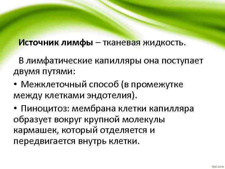 Источник лимфы – тканевая жидкость. В лимфатические капилляры она поступает двумя путями: • Межклеточный