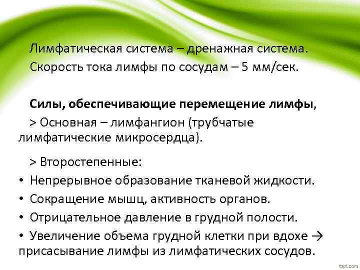 Лимфатическая система – дренажная система. Скорость тока лимфы по сосудам – 5 мм/сек. Силы,