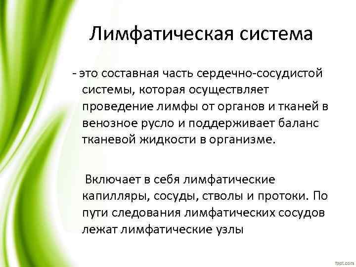 Лимфатическая система - это составная часть сердечно-сосудистой системы, которая осуществляет проведение лимфы от органов