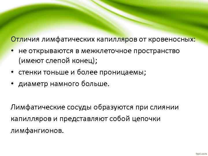 Отличия лимфатических капилляров от кровеносных: • не открываются в межклеточное пространство (имеют слепой конец);