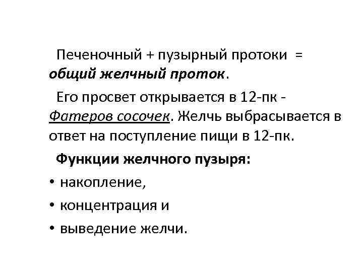 Печеночный + пузырный протоки = общий желчный проток. Его просвет открывается в 12 -пк