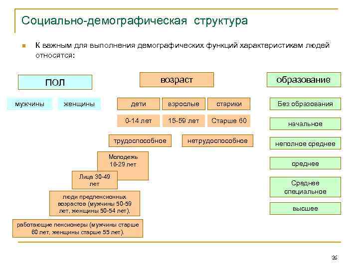 Социально-демографическая структура n К важным для выполнения демографических функций характеристикам людей относятся: возраст ПОЛ