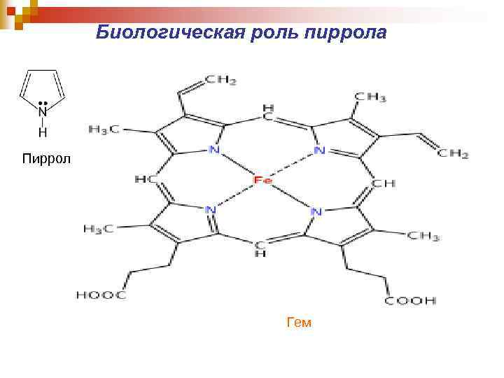 Биологическая роль пиррола Пиррол Гем 