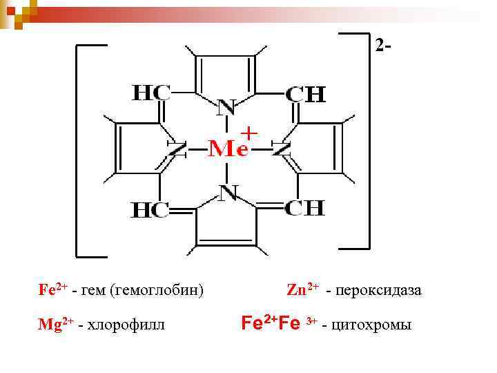 2 - Fe 2+ - гем (гемоглобин) Mg 2+ - хлорофилл Zn 2+ -