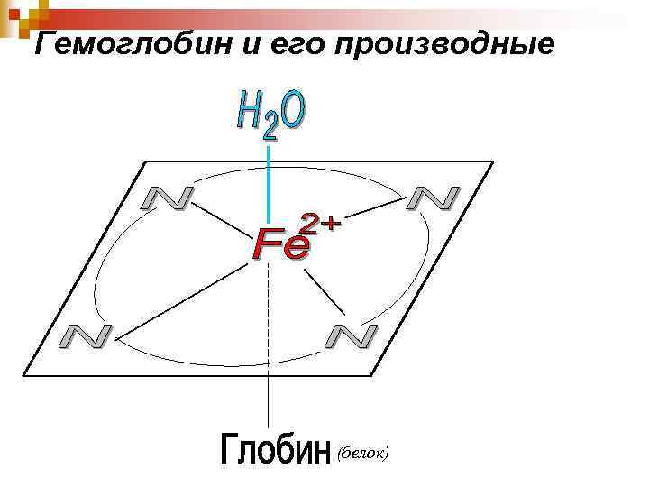 Гемоглобин и его производные (белок) 