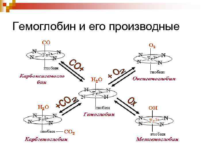 Гемоглобин и его производные 