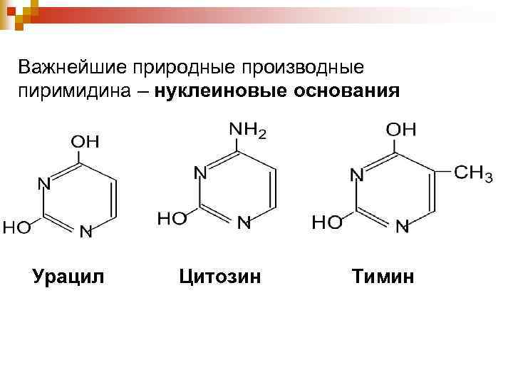 Важнейшие природные производные пиримидина – нуклеиновые основания Урацил Цитозин Тимин 