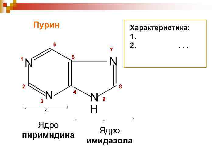 Пурин 6 Характеристика: 1. 2. . 7 5 1 2 8 4 3 Ядро