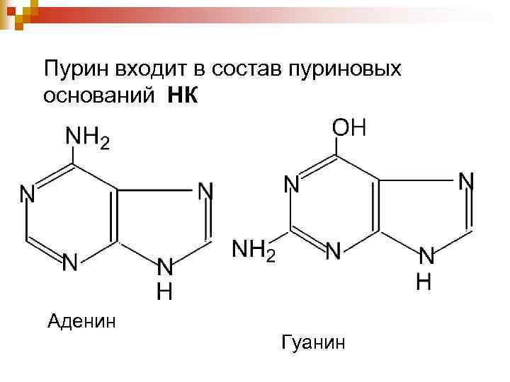 Пурин входит в состав пуриновых оснований НК Аденин Гуанин 