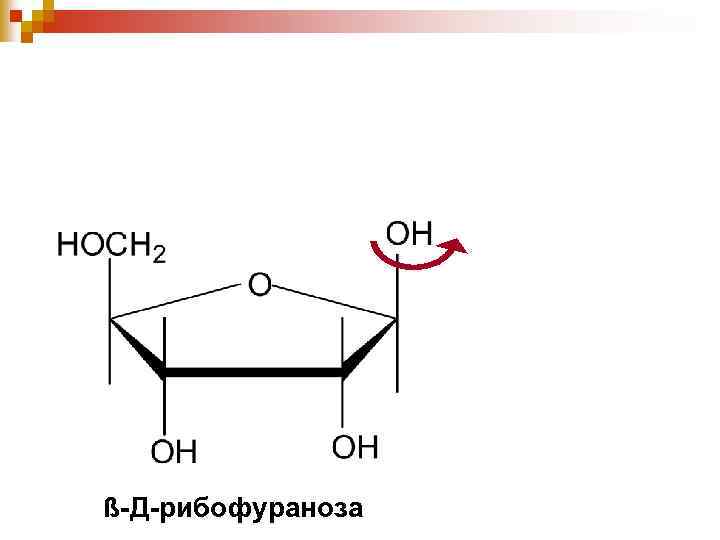 ß-Д-рибофураноза 