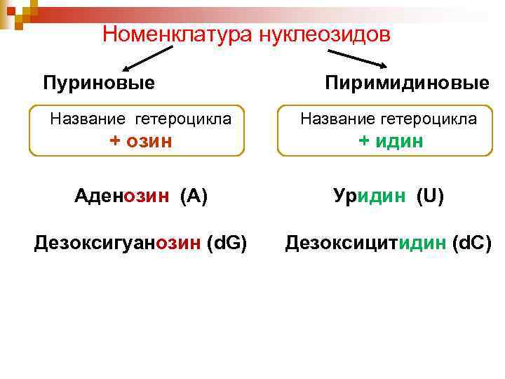 Номенклатура нуклеозидов Пуриновые Пиримидиновые Название гетероцикла + озин + идин Аденозин (А) Уридин (U)