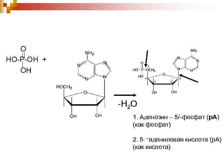 Приведите схему дефосфорилирования 5 дезоксиадениловой кислоты