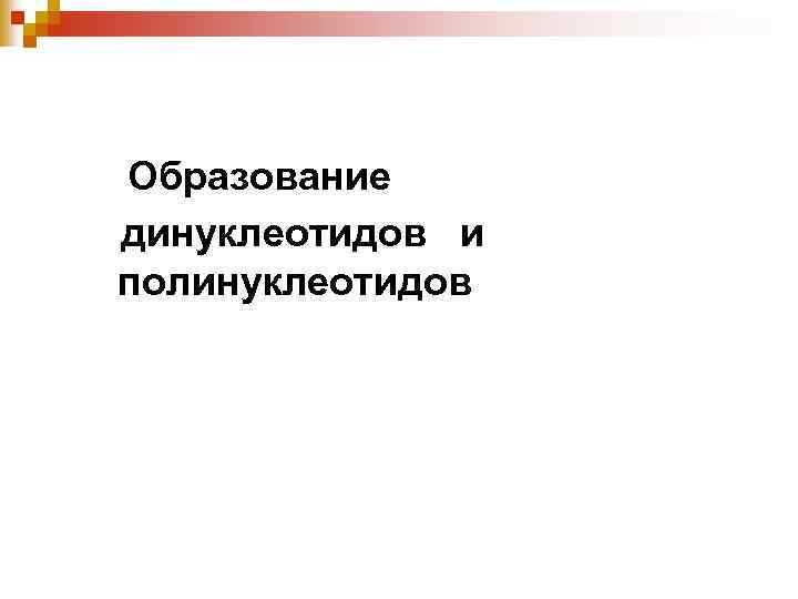 Образование динуклеотидов и полинуклеотидов 