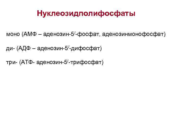 Нуклеозидполифосфаты моно (АМФ – аденозин-5/-фосфат, аденозинмонофосфат) ди- (АДФ – аденозин-5/-дифосфат) три- (АТФ- аденозин-5/-трифосфат) 