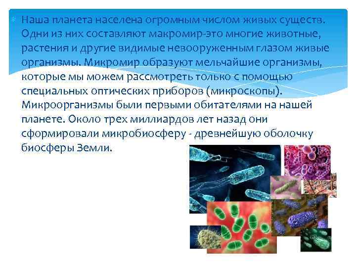  Наша планета населена огромным числом живых существ. Одни из них составляют макромир-это многие
