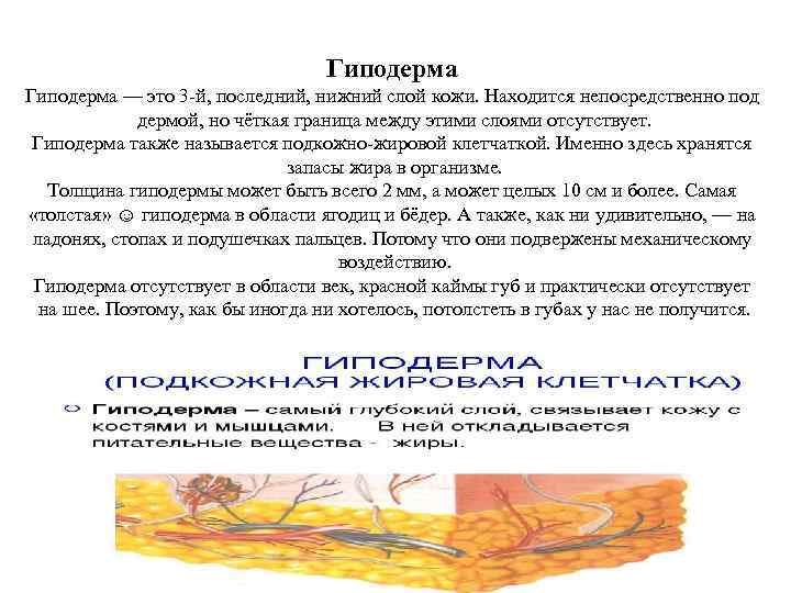  Гиподерма — это 3 й, последний, нижний слой кожи. Находится непосредственно под дермой,