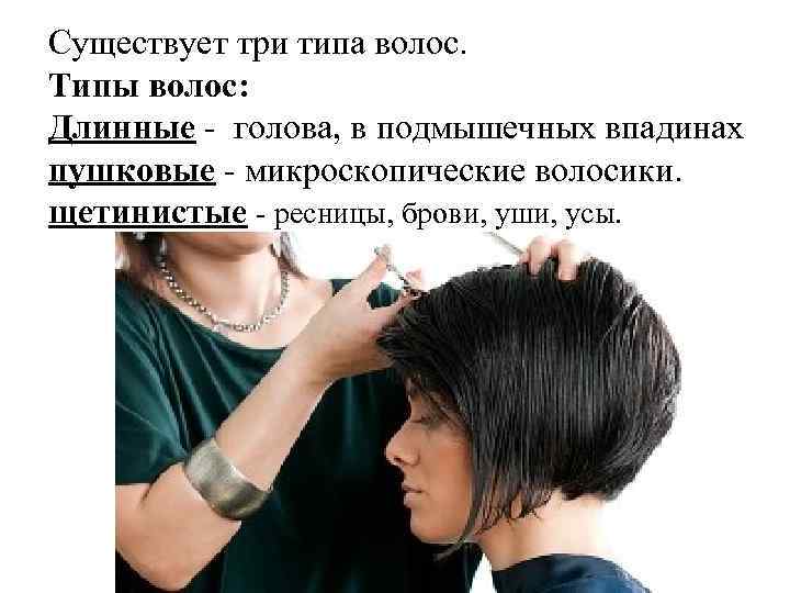 Существует три типа волос. Типы волос: Длинные голова, в подмышечных впадинах пушковые микроскопические волосики.