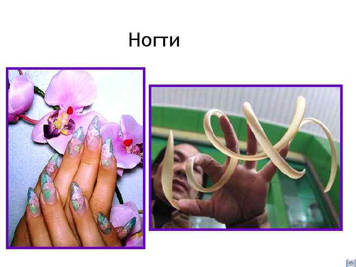 Ногти 