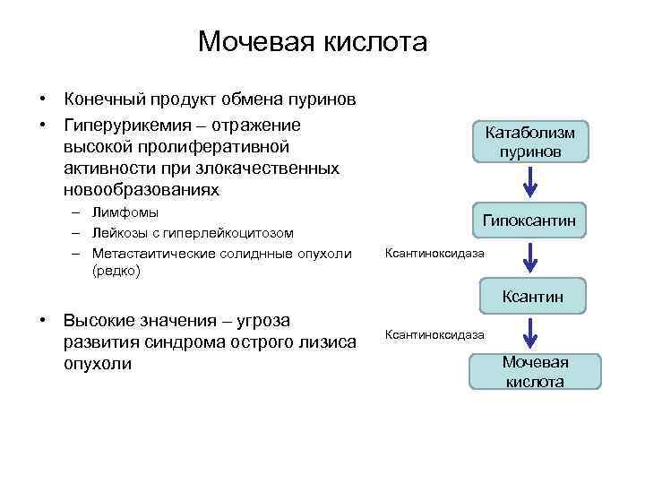 Мочевая кислота • Конечный продукт обмена пуринов • Гиперурикемия – отражение высокой пролиферативной активности