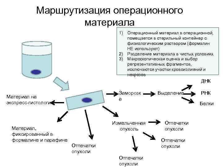 Маршрутизация операционного материала 1) Операционный материал в операционной, помещается в стерильный контейнер с физиологическим