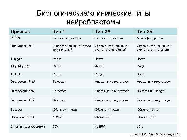 Биологические/клинические типы нейробластомы Признак Тип 1 Тип 2 А Тип 2 В MYCN Нет