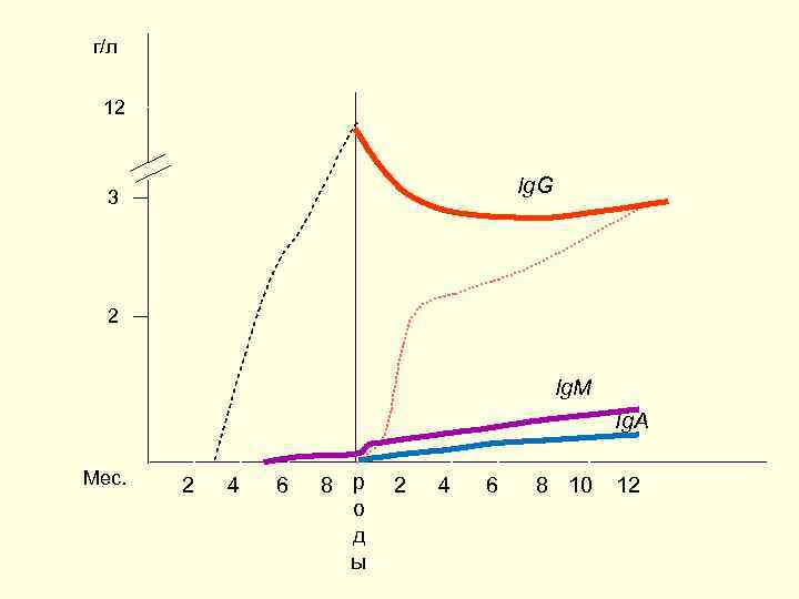 г/л 12 Ig. G 3 2 Ig. M Ig. A Мес. 2 4 6