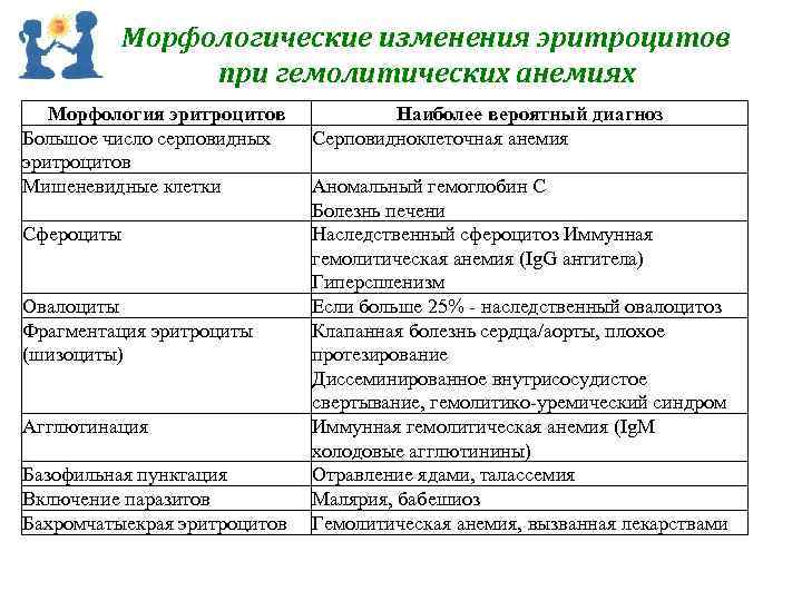 Морфологические изменения эритроцитов при гемолитических анемиях Морфология эритроцитов Большое число серповидных эритроцитов Мишеневидные клетки