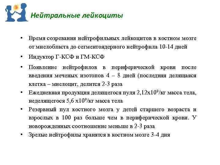 Нейтральные лейкоциты • Время созревания нейтрофильных лейкоцитов в костном мозге от миелобласта до сегментоядерного