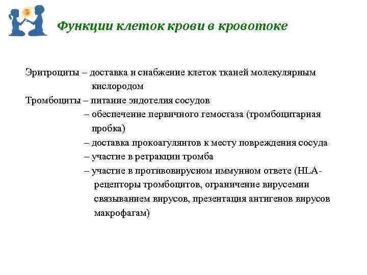 Функции клеток крови в кровотоке Эритроциты – доставка и снабжение клеток тканей молекулярным кислородом