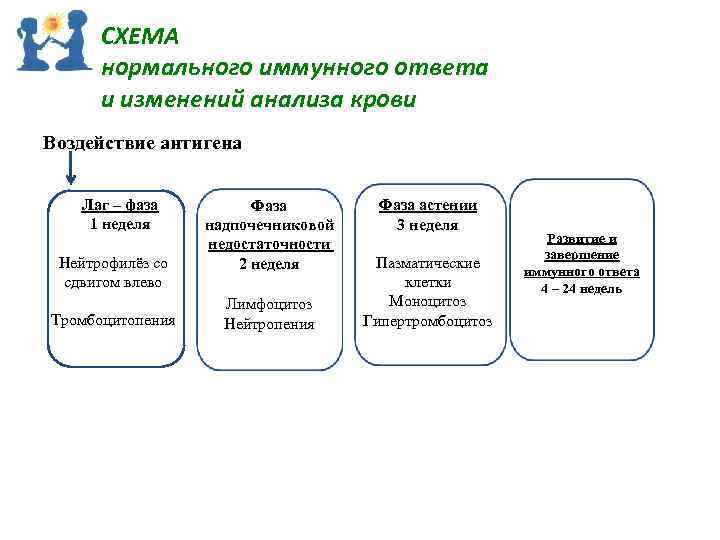 СХЕМА нормального иммунного ответа и изменений анализа крови Воздействие антигена Лаг – фаза 1