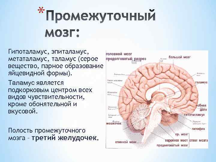 Единый мозг 3 в 1