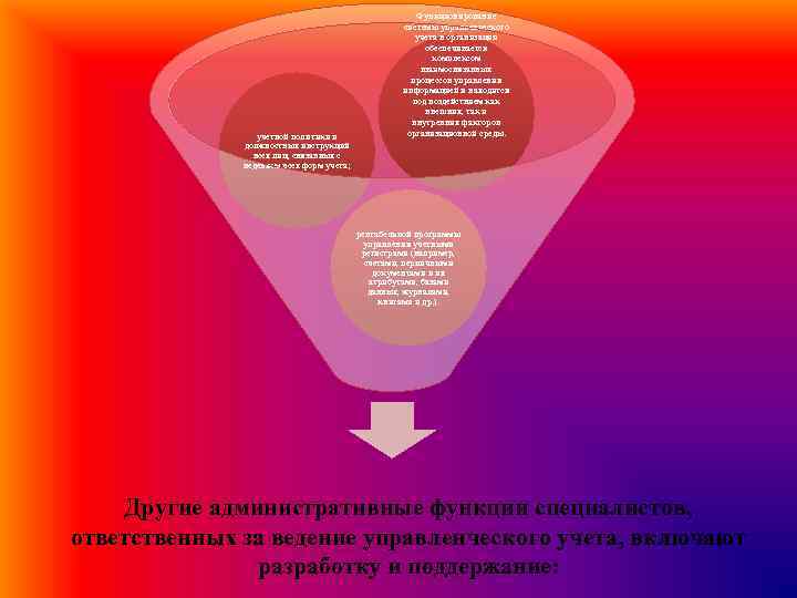 учетной политики и должностных инструкций всех лиц, связанных с ведением всех форм учета; Функционирование