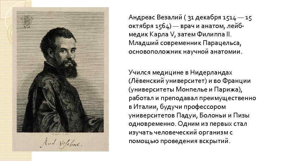 Андреас Везалий ( 31 декабря 1514 — 15 октября 1564) — врач и анатом,