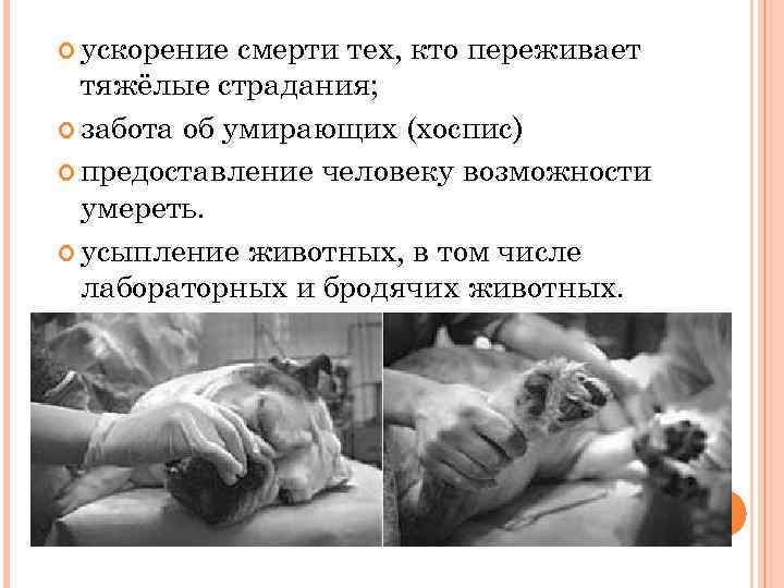  ускорение смерти тех, кто переживает тяжёлые страдания; забота об умирающих (хоспис) предоставление человеку