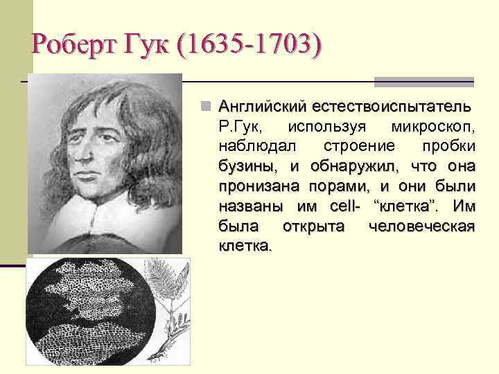 Роберт Гук (1635 -1703) n Английский естествоиспытатель Р. Гук, используя микроскоп, наблюдал строение пробки