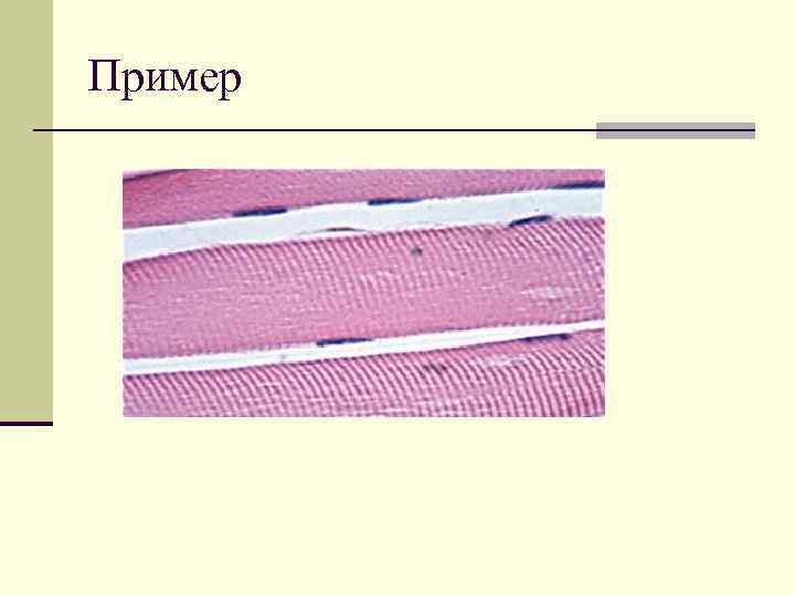 Пример 