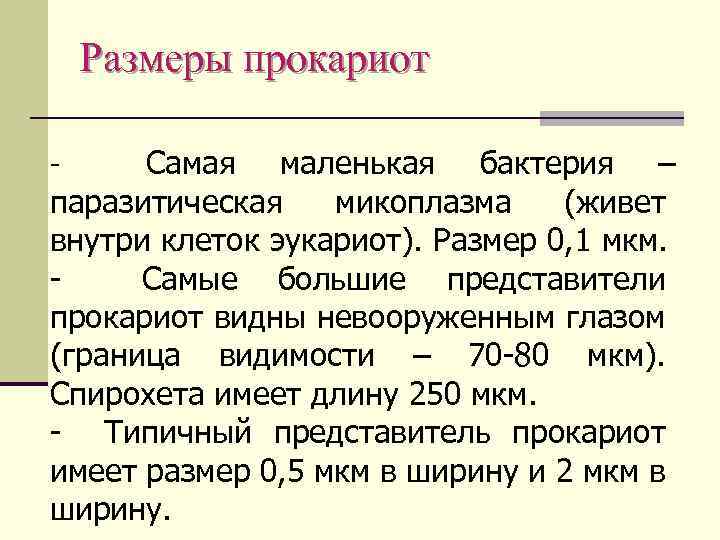 Размеры прокариот Самая маленькая бактерия – паразитическая микоплазма (живет внутри клеток эукариот). Размер 0,