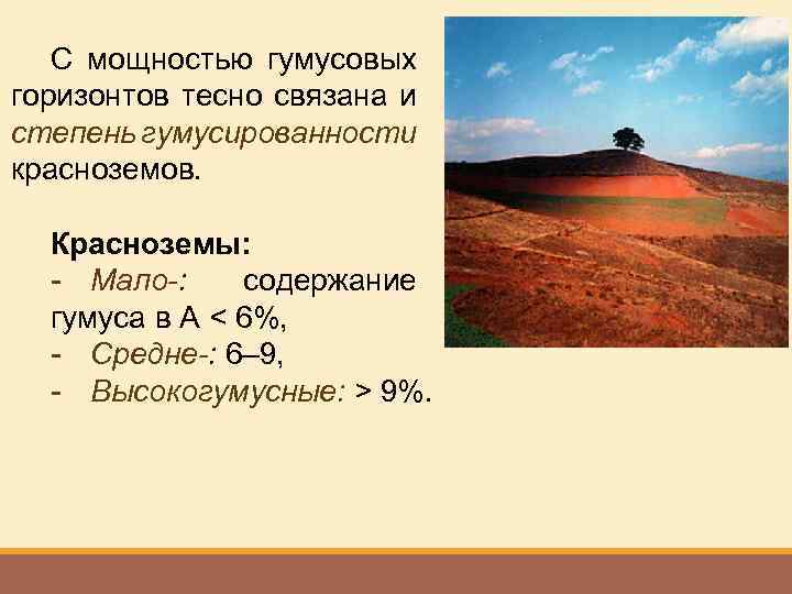 С мощностью гумусовых горизонтов тесно связана и степень гумусированности красноземов. Красноземы: - Мало-: содержание