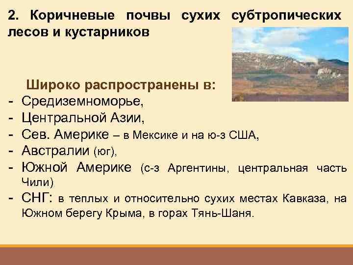 2. Коричневые почвы сухих субтропических лесов и кустарников - Широко распространены в: Средиземноморье, Центральной