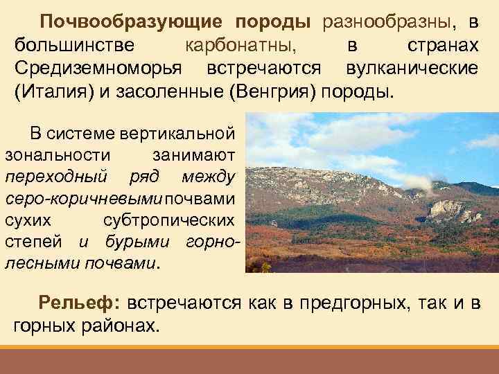 Почвообразующие породы разнообразны, в большинстве карбонатны, в странах Средиземноморья встречаются вулканические (Италия) и засоленные