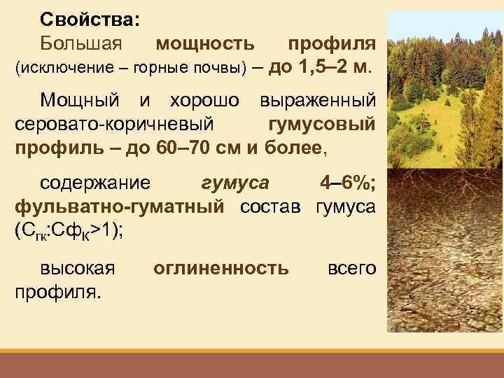 Особенности красно бурых почв