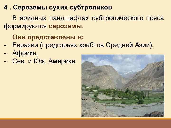 4. Сероземы сухих субтропиков В аридных ландшафтах субтропического пояса формируются сероземы. Они представлены в: