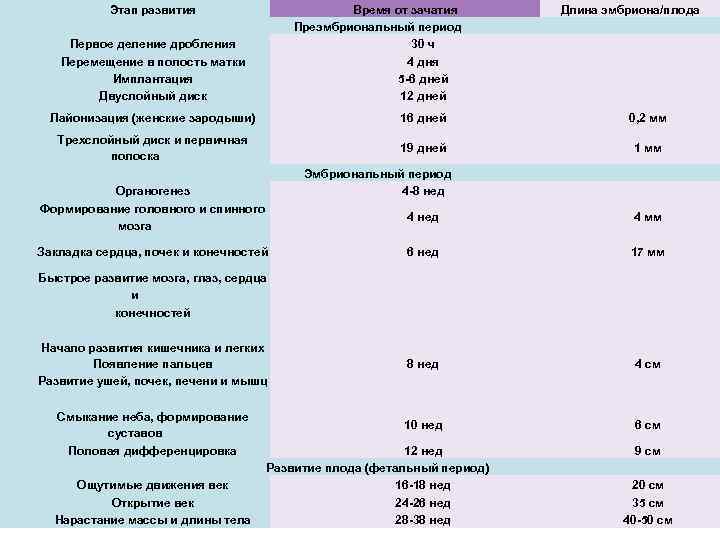 Этап развития Первое деление дробления Перемещение в полость матки Имплантация Двуслойный диск Время от