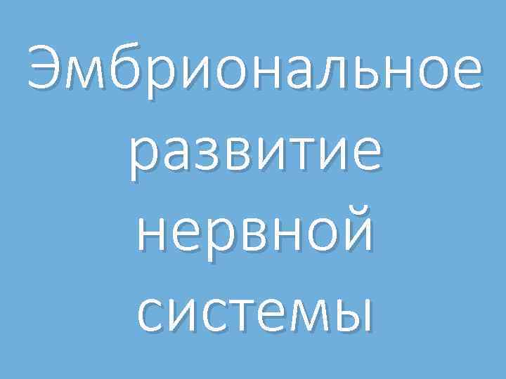 Эмбриональное развитие нервной системы 