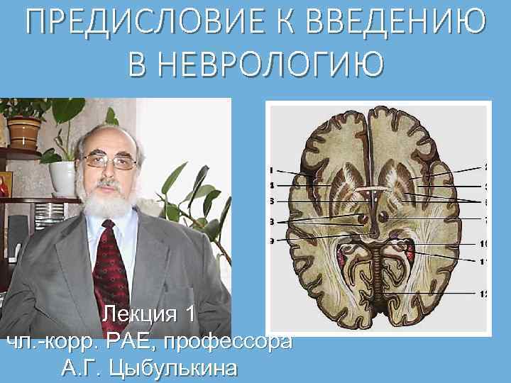 ПРЕДИСЛОВИЕ К ВВЕДЕНИЮ В НЕВРОЛОГИЮ Лекция 1 чл. -корр. РАЕ, профессора А. Г. Цыбулькина