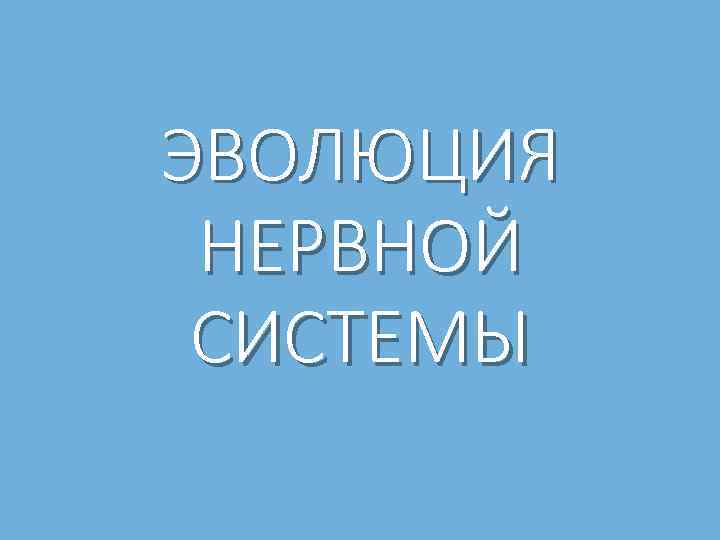 ЭВОЛЮЦИЯ НЕРВНОЙ СИСТЕМЫ 