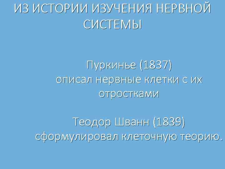 ИЗ ИСТОРИИ ИЗУЧЕНИЯ НЕРВНОЙ СИСТЕМЫ Пуркинье (1837) описал нервные клетки с их отростками Теодор